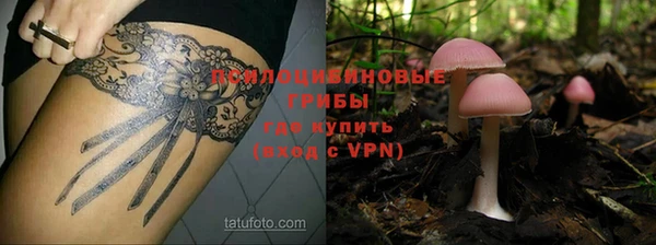 сатива Приозерск