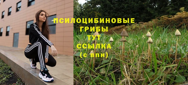 винт Пролетарск