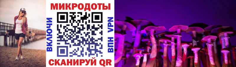 Галлюциногенные грибы прущие грибы  Сусуман 